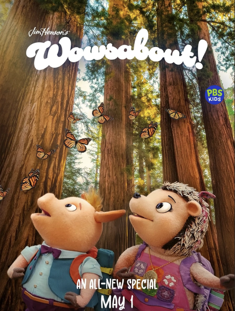 A cute puppet pig and puppet hedgehog are looking in awe at the tall redwoods surrounding them.